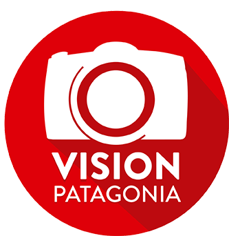 LOGO VP PNG